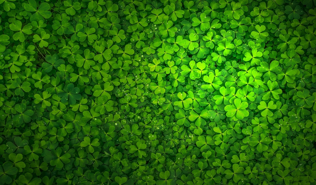St Patrick's Day for 1024 x 600 widescreen resolution