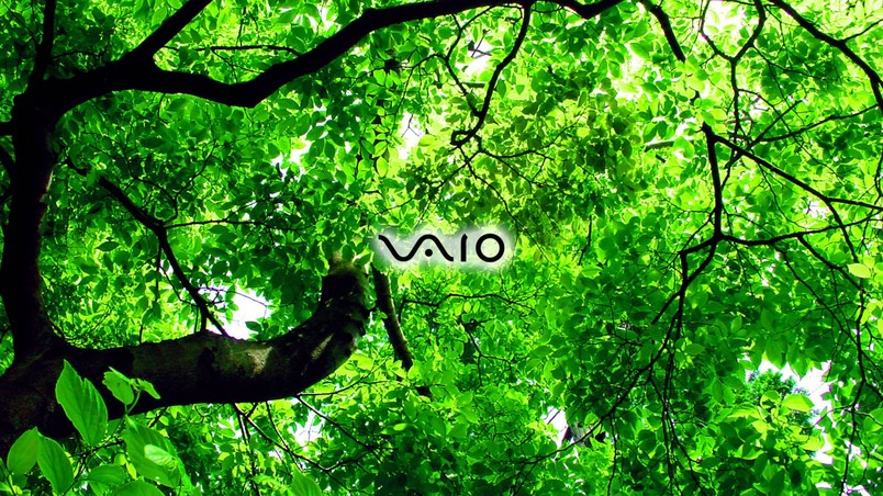 Sony Vaio green wallpaper