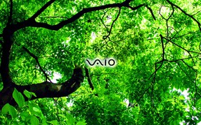 Sony Vaio green wallpaper