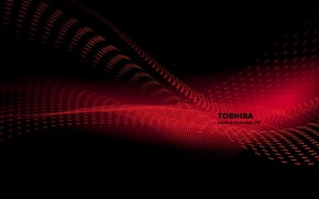 Toshiba red wave