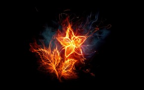 Fiery  Flowers wallpaper