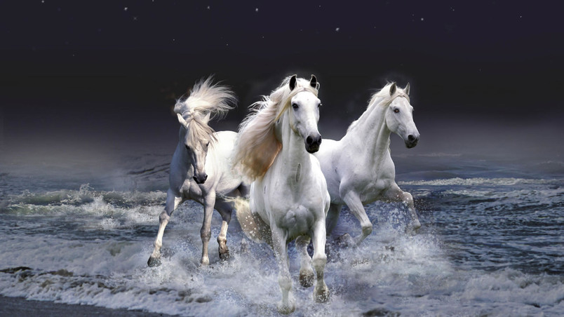 Three White Horses wallpaper