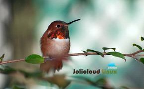 Jolicloud Linux Hummingbird wallpaper