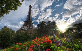 Eiffel Tower Surrounded by Flowers wallpaper