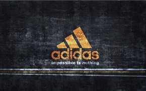 Vintage Adidas Logo