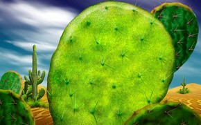 Cactus wallpaper