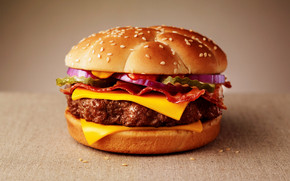 Double Cheeseburger wallpaper