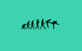 Human Evolution wallpaper