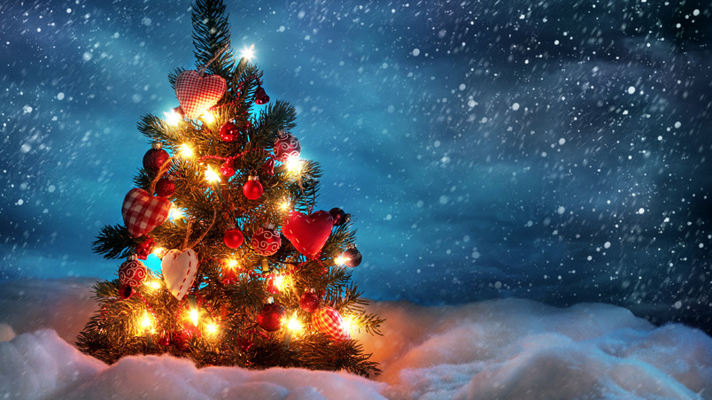 Lovely Christmas Tree wallpaper