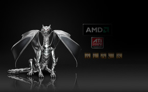 AMD Dragon Black