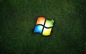 Windows Eco Logo