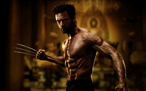 The Wolverine 2013 Movie wallpaper