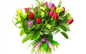 Beautiful Tulip Bouquet wallpaper