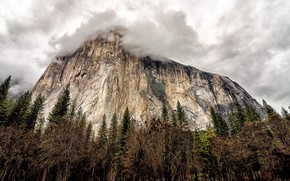 California Yosemite National Park View