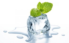 Ice Cube and Mint