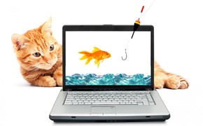 Fishing Cat wallpaper