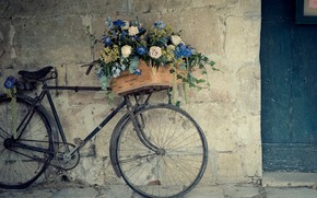 Bicycle Flower Support wallpaper