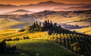 Amazing Tuscany View