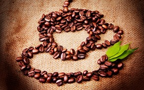 Coffee Seeds Cup wallpaper