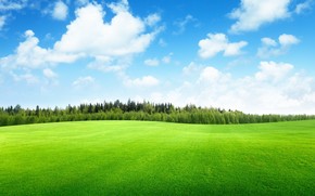 Beaufitul Green Grass Field