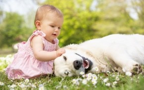 Cute Little Girl Playing With Dog