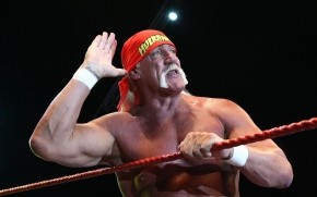 Hulk Hogan Salute wallpaper