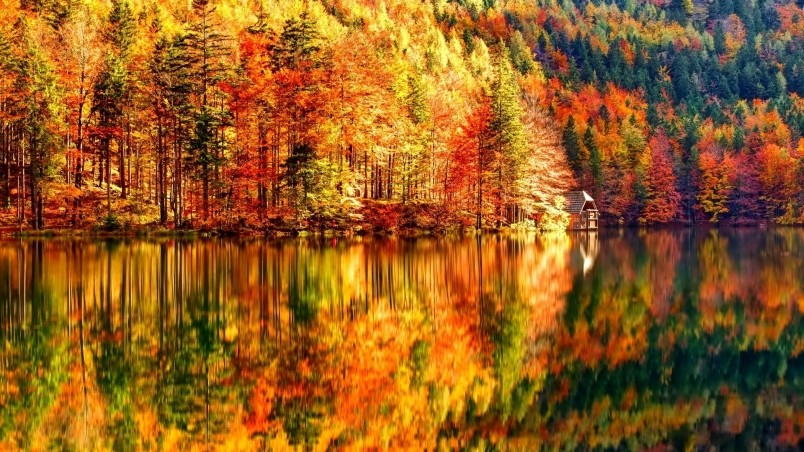 Autumn Landscape wallpaper