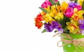 Daffodils and Freesias Bouquet