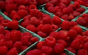Raspberries  wallpaper