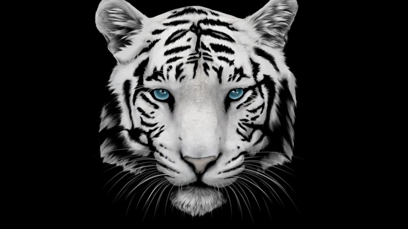 White Tiger and Blue Eyes wallpaper