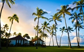 Hawaii Beach Houses