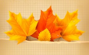 3 Beautiful Autumn Leaves wallpaper