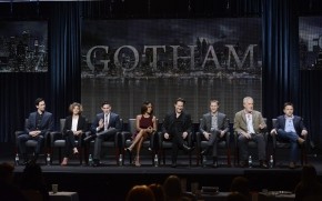 Gotham TV Show Public Interview