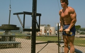 Young Arnold Schwarzenegger Workout wallpaper