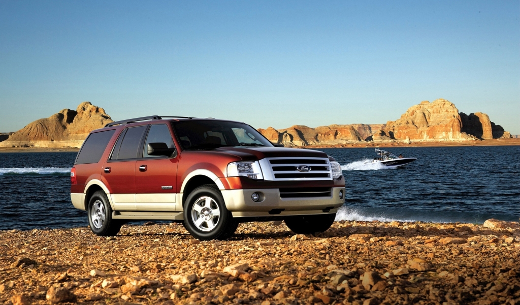 2010 Ford Expedition for 1024 x 600 widescreen resolution
