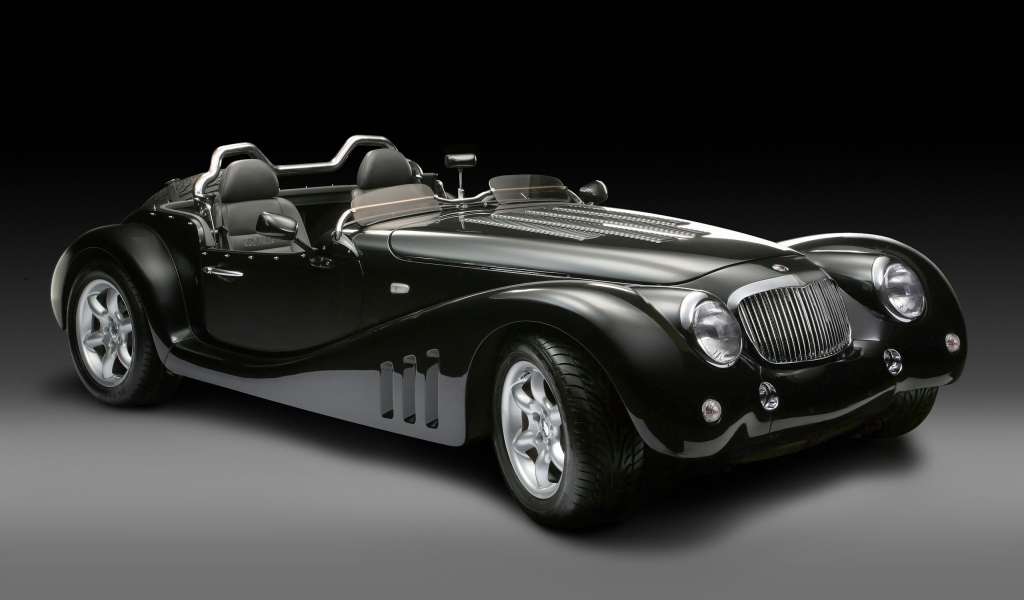 2013 Leopard Roadster Studio for 1024 x 600 widescreen resolution