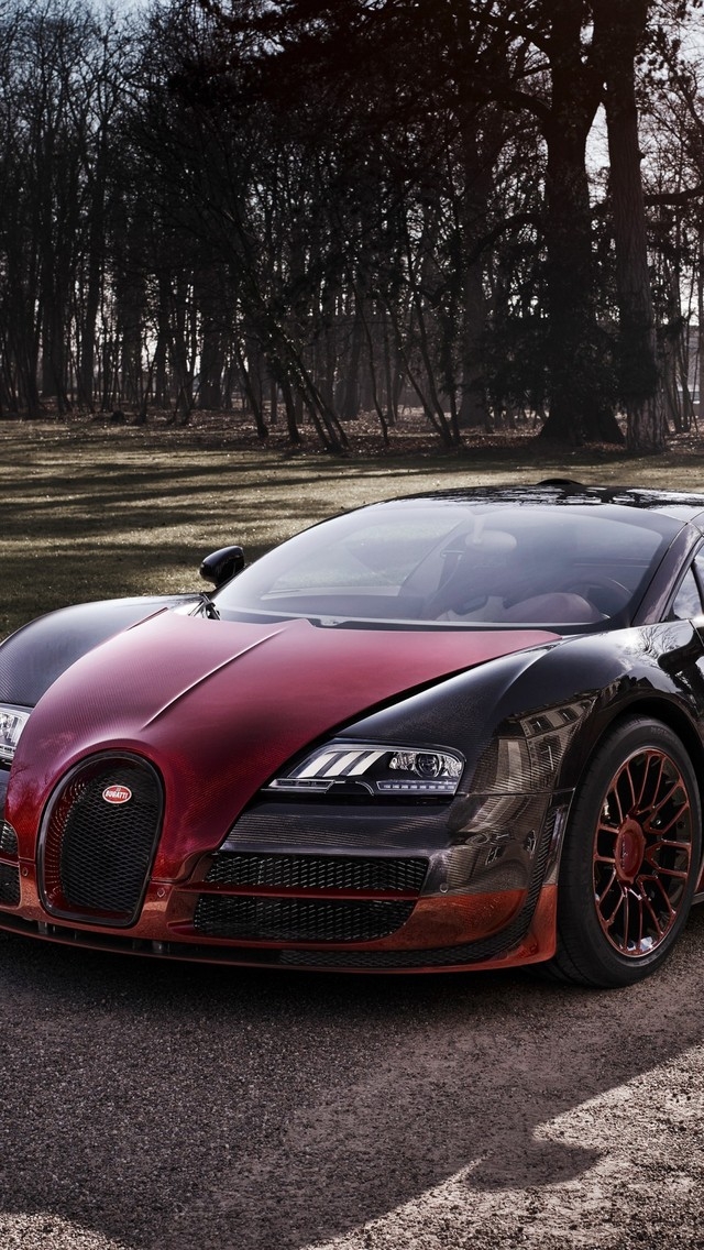 2015 Bugatti Veyron Grand Sport Vitesse for 640 x 1136 iPhone 5 resolution