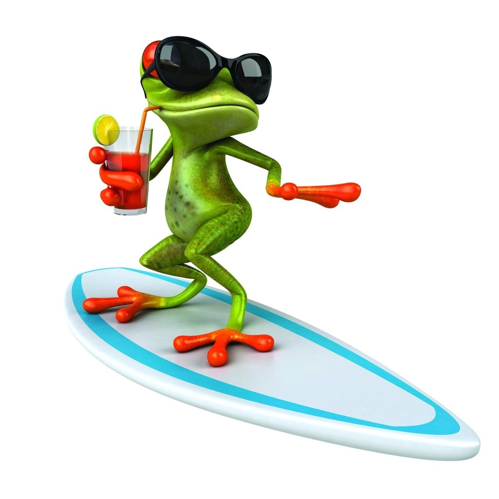 3D Frog Surfing  for 1024 x 1024 iPad resolution