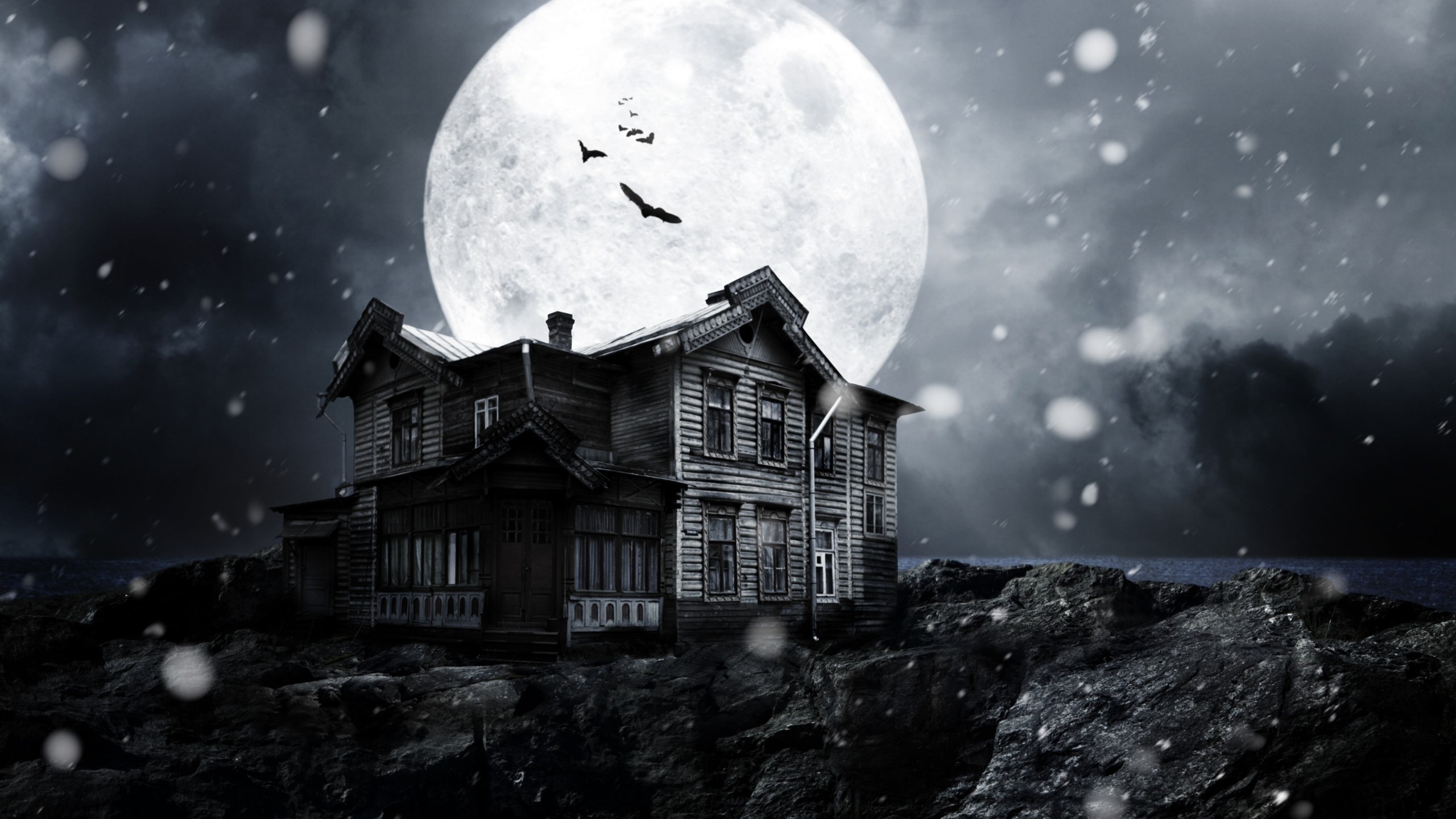 A Haunted House Movie for 2560x1440 HDTV resolution