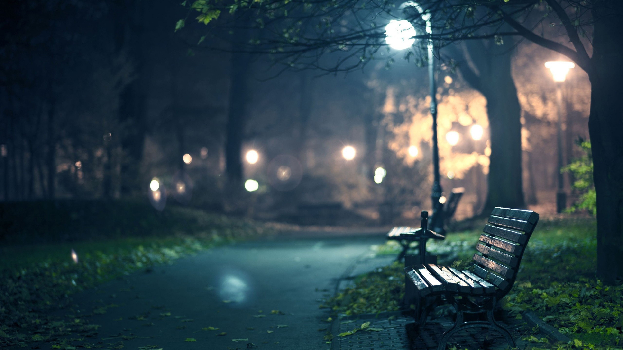 A Lonely Walk in Night for 2560x1440 HDTV resolution