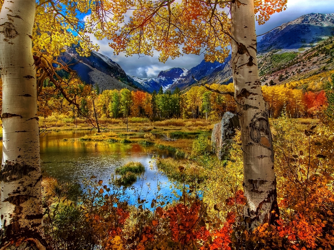 Amazing Autumn View for 1152 x 864 resolution