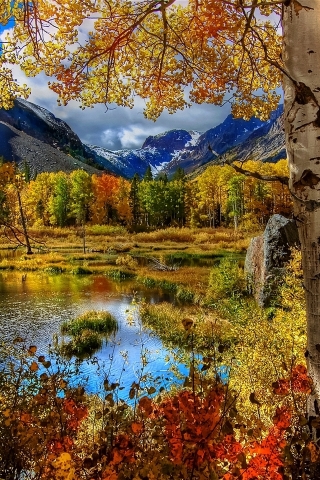 Amazing Autumn View for 320 x 480 iPhone resolution