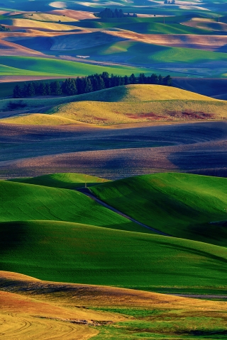 Amazing Colorful Hills for 320 x 480 iPhone resolution