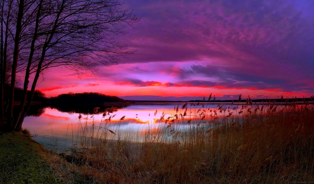 Amazing Purple Sunset for 1024 x 600 widescreen resolution