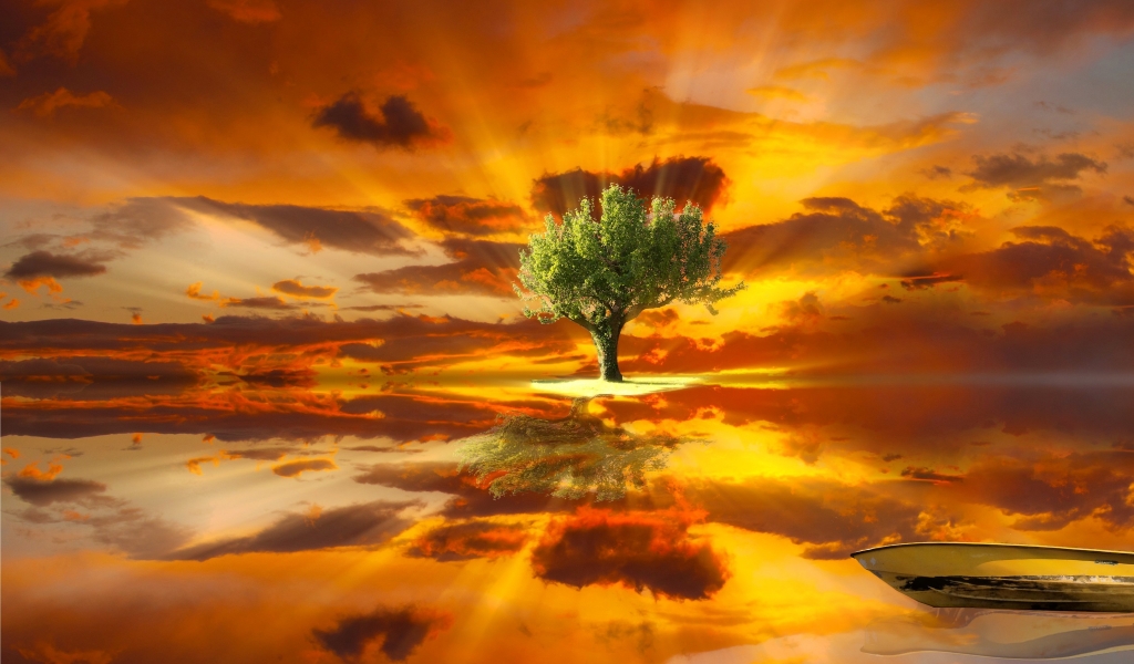Amazing Tree Landscape for 1024 x 600 widescreen resolution