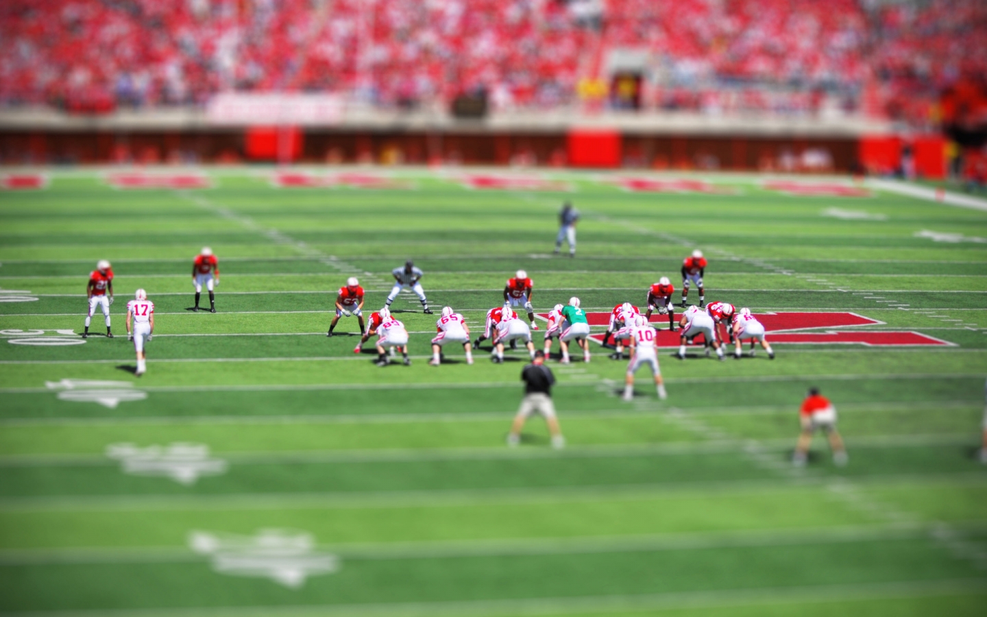 American Football Toy Effect for 1440 x 900 widescreen resolution