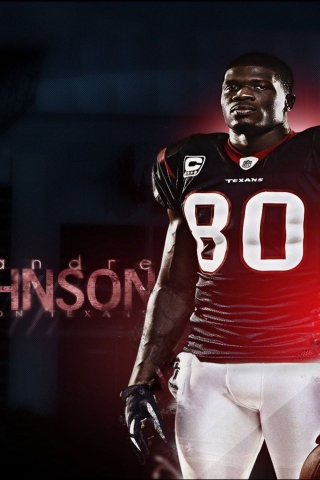 Andre Johnson Houston Texans for 320 x 480 iPhone resolution