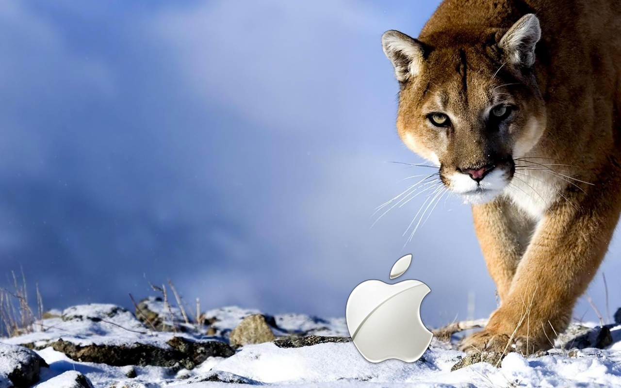 Apple Wild for 1280 x 800 widescreen resolution