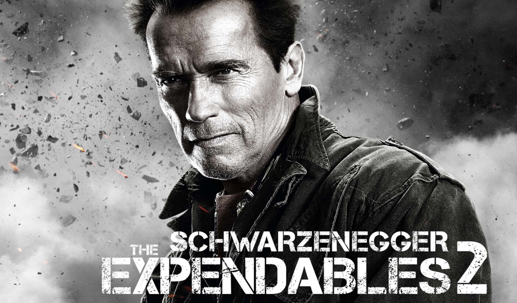 Arnold Schwarzenegger Expendables 2 for 1024 x 600 widescreen resolution