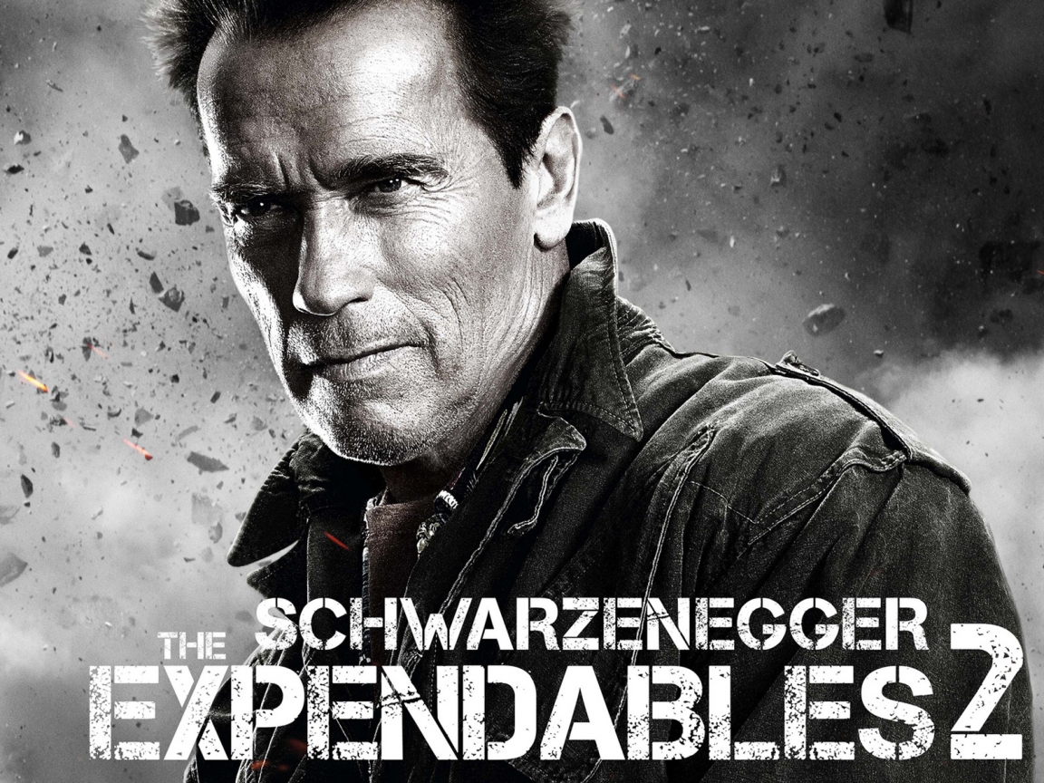Arnold Schwarzenegger Expendables 2 for 1152 x 864 resolution